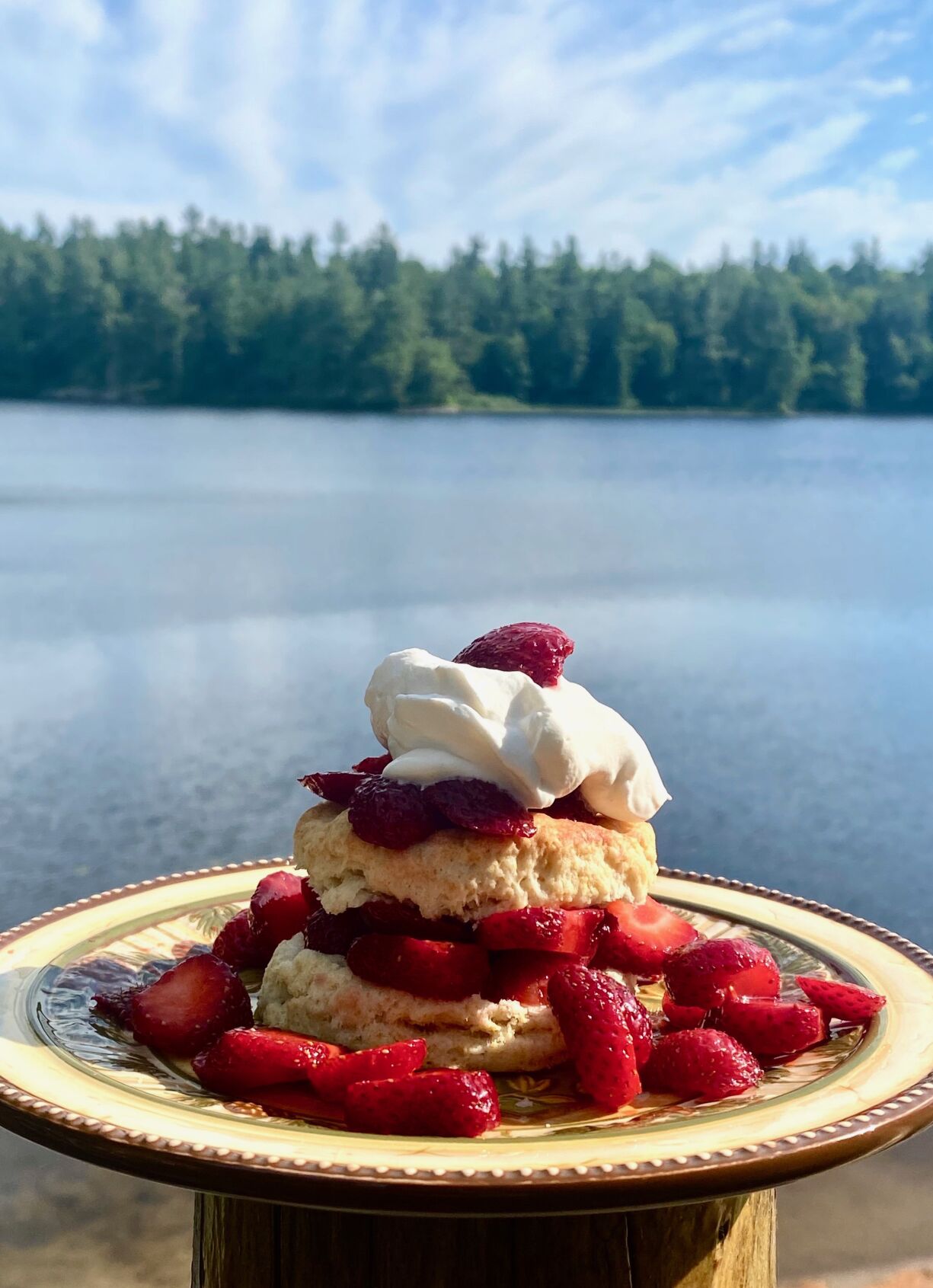 Strawberry Shortcake 1